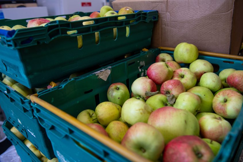 Boxes filled with Perthshire apples
