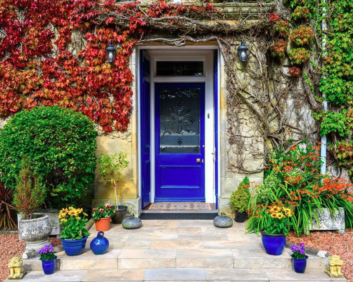 A blue door marks the entrance of Park House.