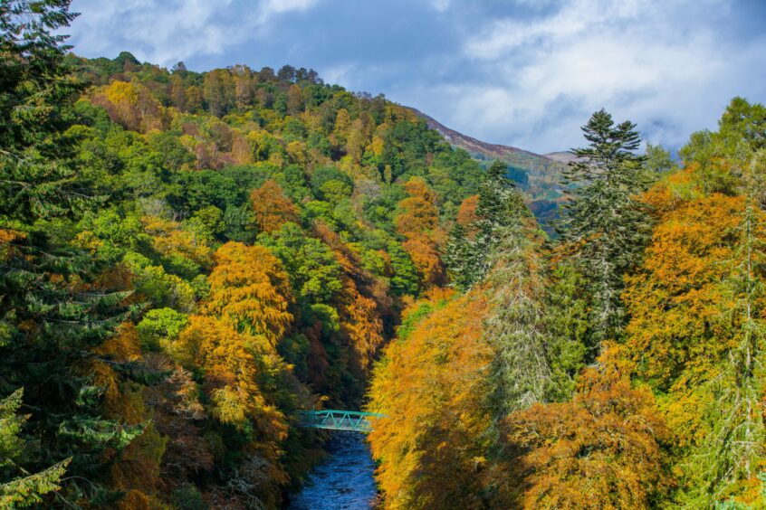 Autumn colours spotted on a walk at Garry Bridge. River Garry, near Killiecrankie. 