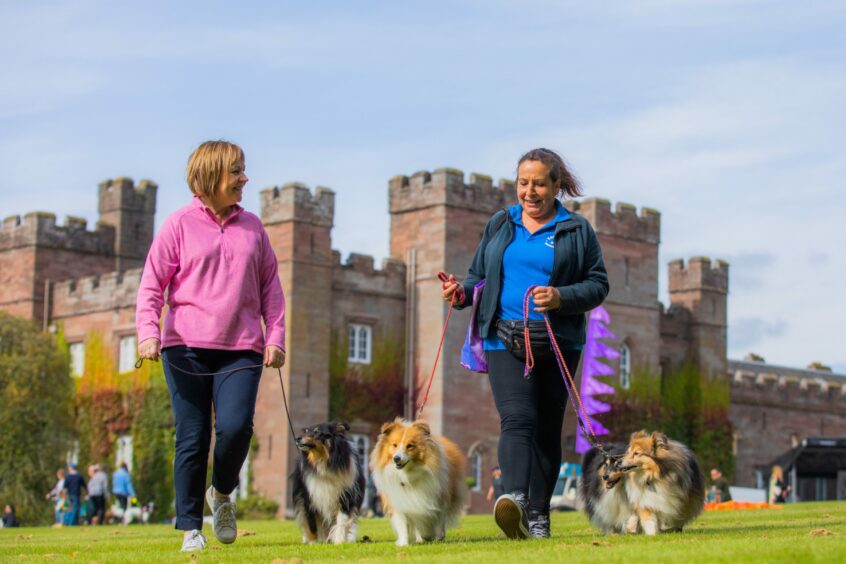 Liz Proudfoot and Louise Saunders walking with miniature Shetland collies in front of Scone Palace.