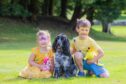 two small children with black and white spaniel at Paws at the Palace.