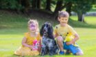two small children with black and white spaniel at Paws at the Palace.