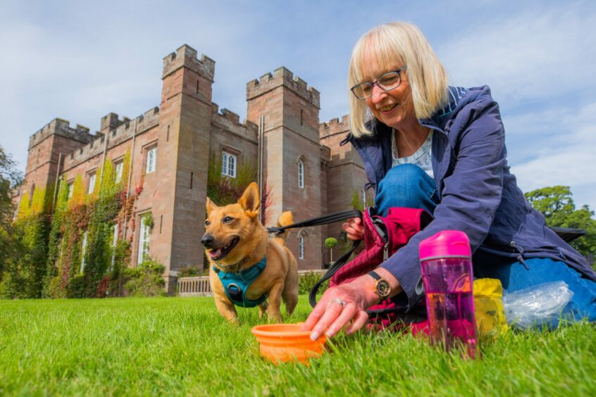 Woman offering small brown terrier a bowl of water in front of Scone Palace.