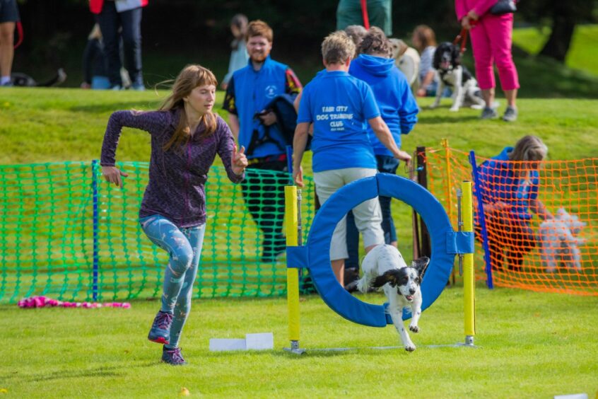 Dina Brown running alongside a black and white spaniel as it leaps through a hope at Paws at the Palace.