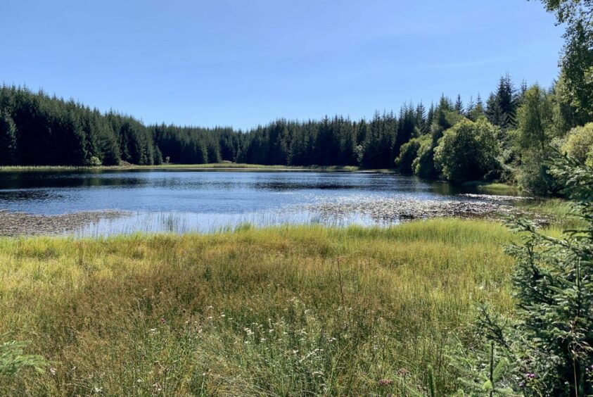 Loch Scoly.