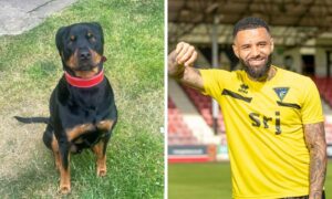 Dunfermline’s Alex Jakubiak took break after Dundee exit ‘to spend time with my dog’