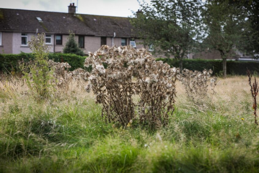 Inglis Court sheltered housing site in Edzell left undeveloped.