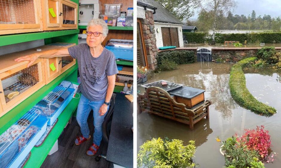 Alison Middleton standing next to hedgehog hutches. Another photo alongside shows her garden under deep flood water following Storm Babet