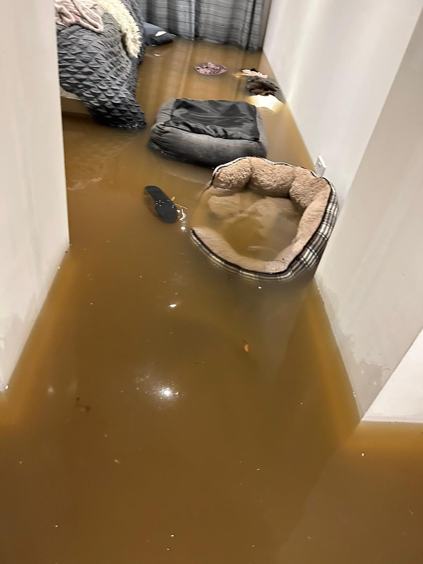 The flooded Airbnb in Perth 