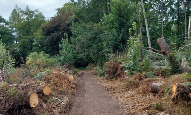 Contractors faced a major clear-up operation at Crombie and Monikie. Image: Angus Alive