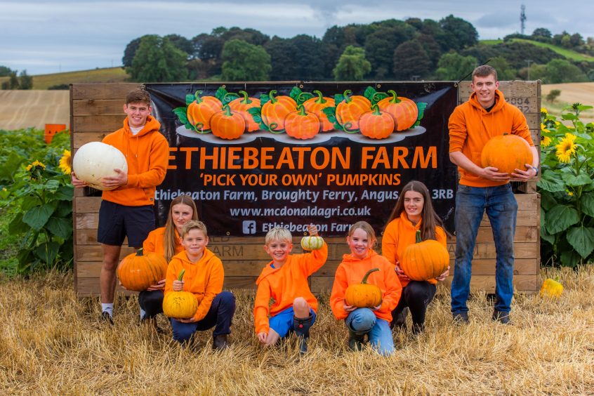 Ethiebeaton Farm Pick Your Own Pumpkins family halloween events