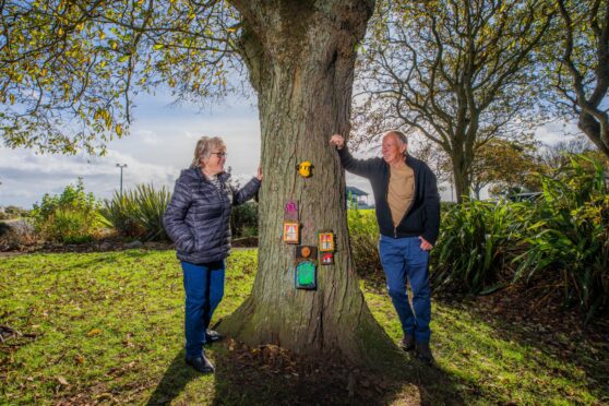 Pam Paton and Alec Edwards beside one of the trees on the fair door trail. Image: Steve MacDougall/DC Thomson