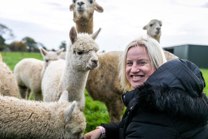 Debbie took part in a mindfulness session with the alpacas in Fife