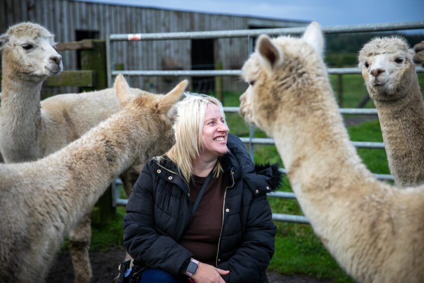 Debbie was surrounded by alpacas during the session.