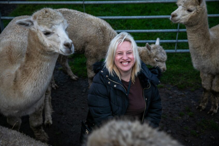 Debbie was able to get close to the alpacas to observe them.