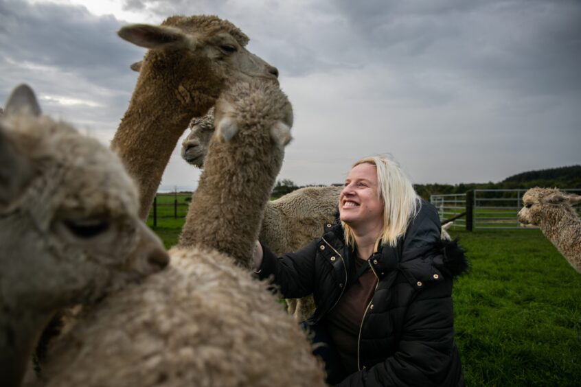 Debbie observes the alpacas as part of the session.