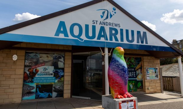 St Andrews Aquarium.