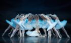 The Classical Ballet and Opera House production of Swan Lake. Image: Supplied.
