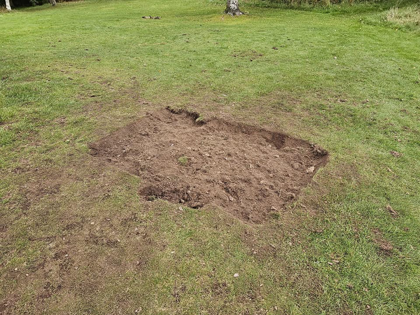 Turf dug up near the shelter.