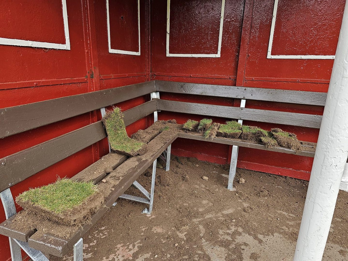 Turf inside the shelter