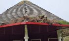 Turf lobbed onto the roof of Wilkie's Shelter in Kirriemuir