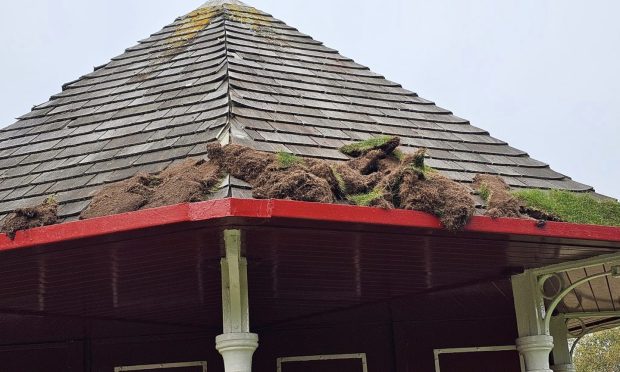 Turf lobbed onto the roof of Wilkie's Shelter in Kirriemuir