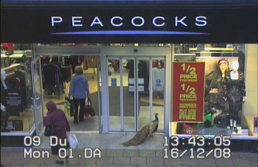 Clive was caught on CCTV trying to enter Peacocks in Dunfermline.