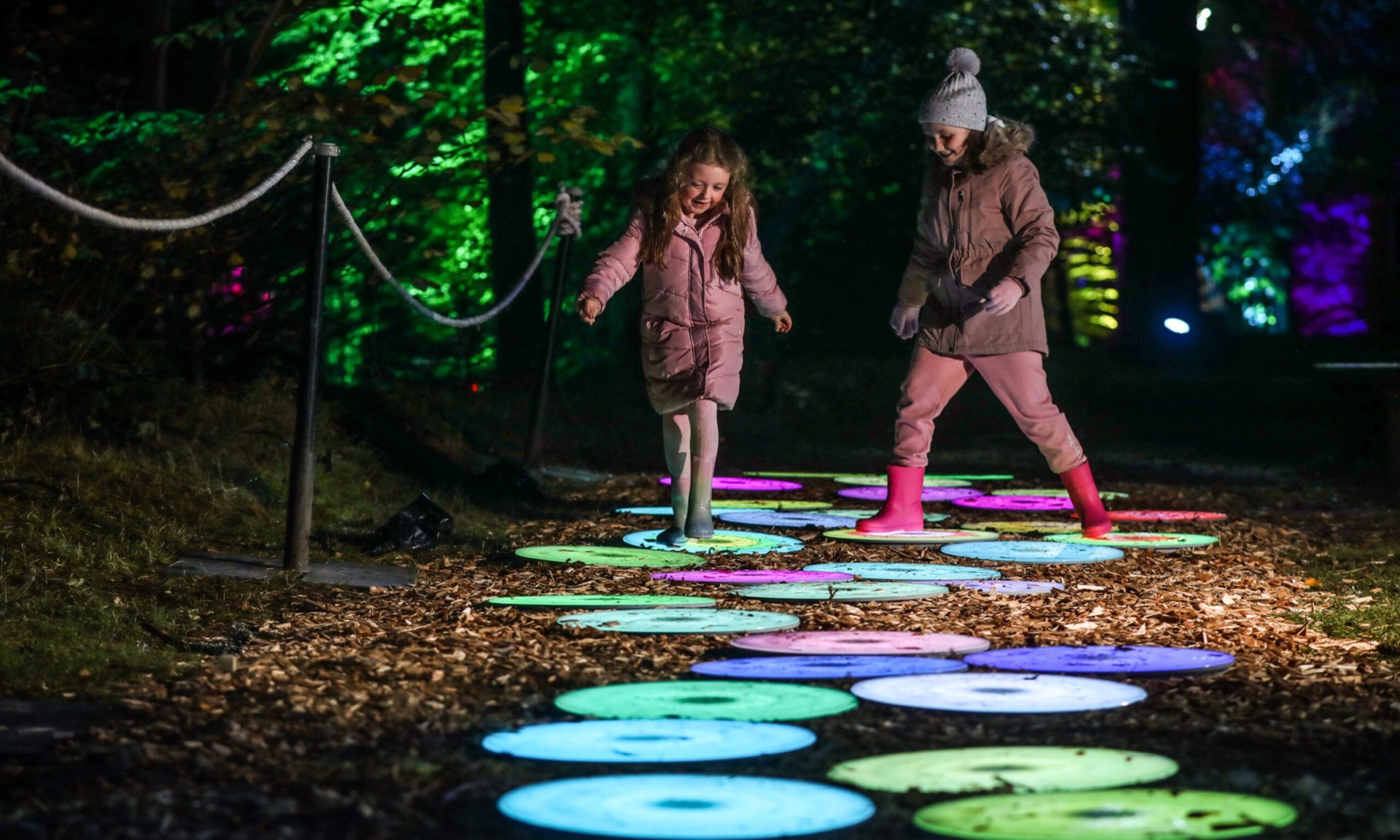 Enchanted Forest in Perthshire.