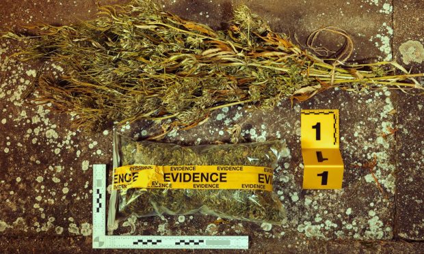 Cannabis seized from rural properties in Angus drugs bust