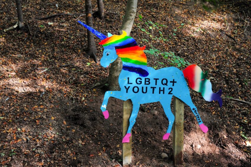The LGBT+ Youth unicorn.