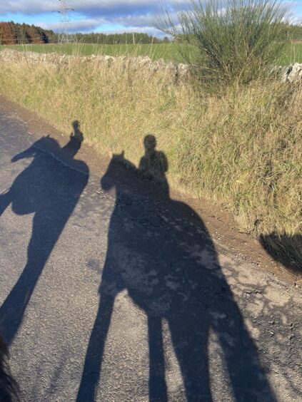 The shadows of two horses and riders are cast on a country road next to a green field, under a strip of blue sky. 