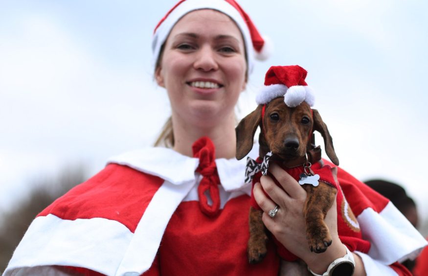 Christmas dachshund party in Kirkcaldy
