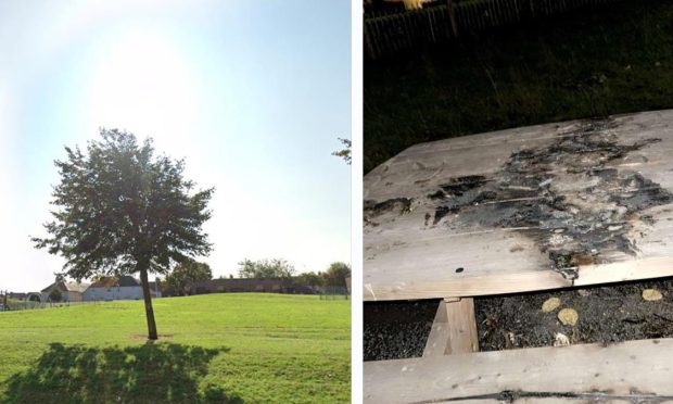 vandals torch green space in Dundee