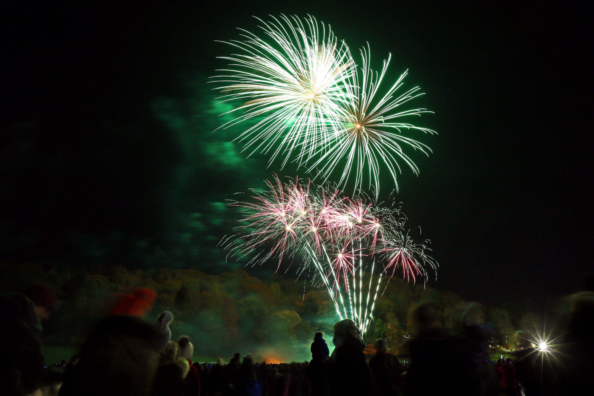 Dundee fire chiefs advise public to attend organised firework displays