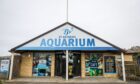 St Andrews Aquarium. Image: Steve Brown/DC Thomson