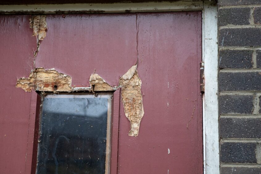 Door in poor condition with peeling paintwork and rotting wood.