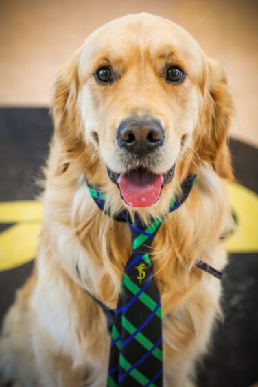 Reggie wearing a school tie