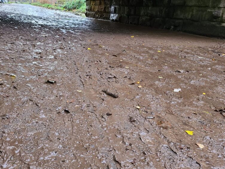 Filthy brown mud containing sewage contamination in Perth