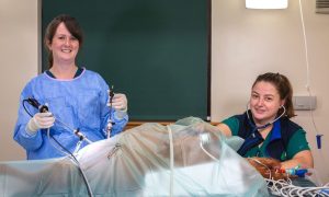 Senior vet Stephanie Duncan and nurse Amy Lownie using laparoscopic equipment. Image: Thrums Vets