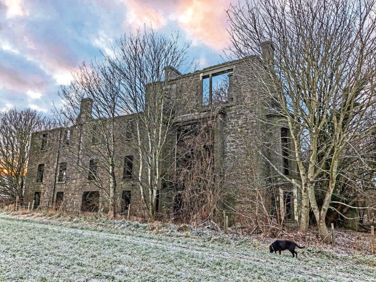 Gayle Ritchie's dog Toby has a sniff round the perimeter of abandoned KIncaldrum House in Angus.
