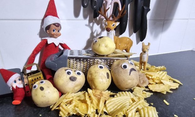 Philo's tattie torturing is among our top submissions so far, made by Keri Sutton of Tayport.