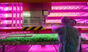 Intelligent Growth Solutions' growth tower. Image: Intelligent Growth Solutions.
