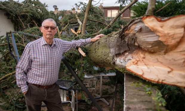 Gordon McKay by the tree that snapped in his West Ferry garden.