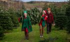 The elves at Sholach Christmas Tree Farm are extremely helpful! Pictured are Kelly McIntyre, Gayle Ritchie and farm owner Willie McIntyre. Image: Kim Cessford.