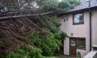 Tree on house in Dundee after Storm