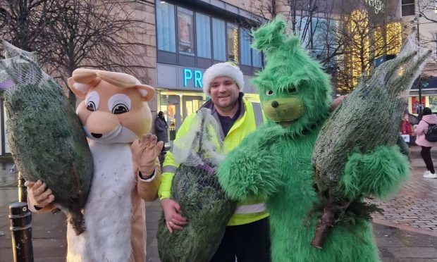 Tayside Forestry dish out Christmas trees in Dundee City Square.