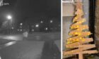 Video footage shows youths run away with Fife mum's Christmas tree in Dunfermline