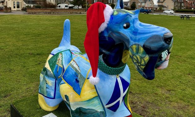 Postie the Leven Scottie is back in time for Christmas