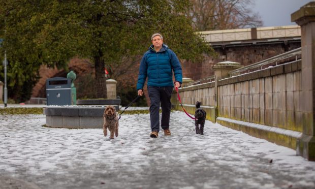 Darren Ritchie braving the elements to walk dogs Toby (left) and Gracie (right) on Tay Street in Perth on Monday. Image: Steve MacDougall/DC Thomson