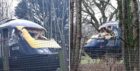 The train following the collision with a tree. Image: Aslef/Twitter